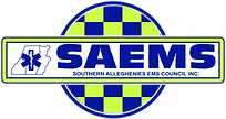 SAEMS-checkers-Logo-with-letters (1).png