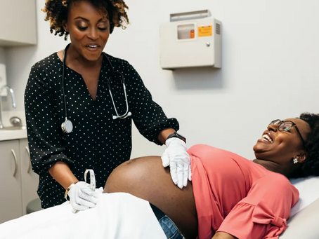 Three Little Bird's Preferred Provider's List