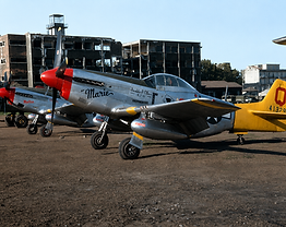 P51 Mustang_2.png