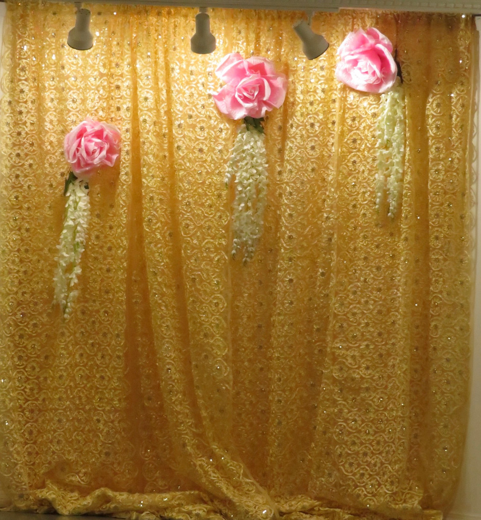 MeenaAcharyaPhotoBooth.jpeg