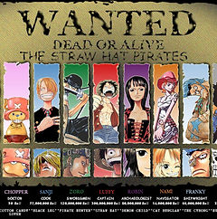 wearestrawhat.jpg