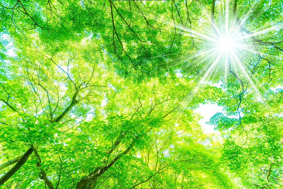 green.jpeg