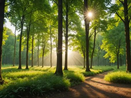 Uncovering the Roots: Beginning the Journey to Healing from Childhood Trauma and Medical Gaslighting