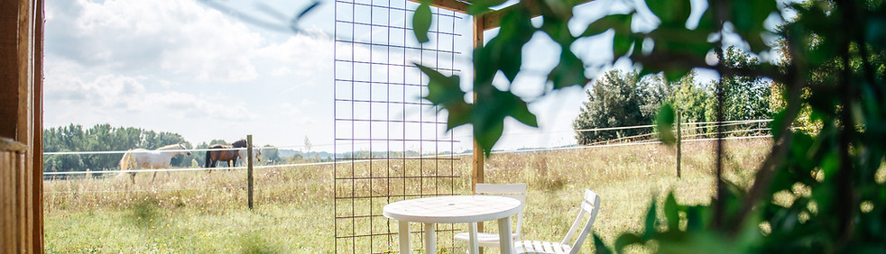 DOMAINE-CLE-DE-SOL-SIMONCAVALIER-23_edited.jpg