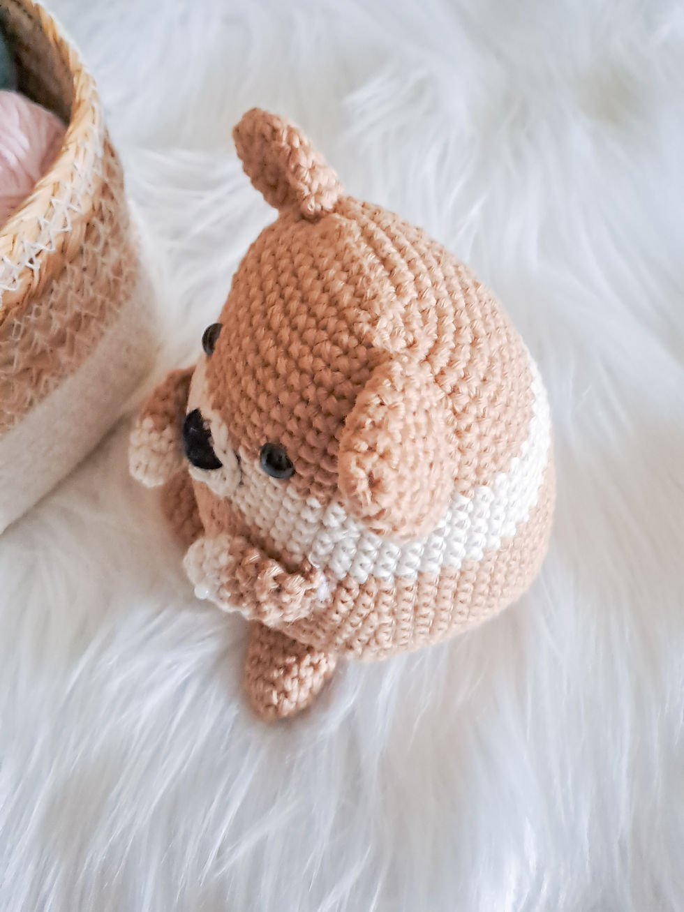 Miniatura: Toby il cagnolino