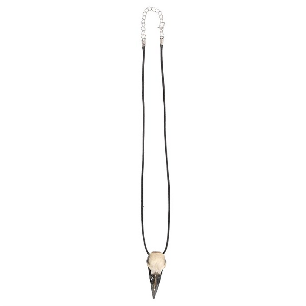 Thumbnail: Resin Crow Skull Necklace