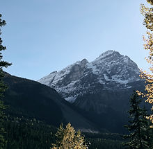 Station 2: Jesus Carries His Cross