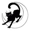 logo black cat .jpeg