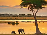 queen elizabeth national park