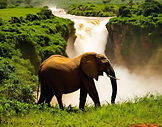 murchison falls uganda