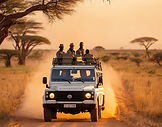 wildlife safari game drive