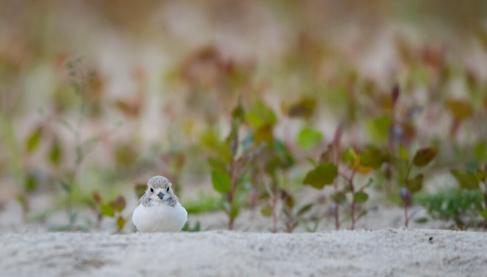 Screen Shot 2022-10-02 at 8.16.37 AM.png