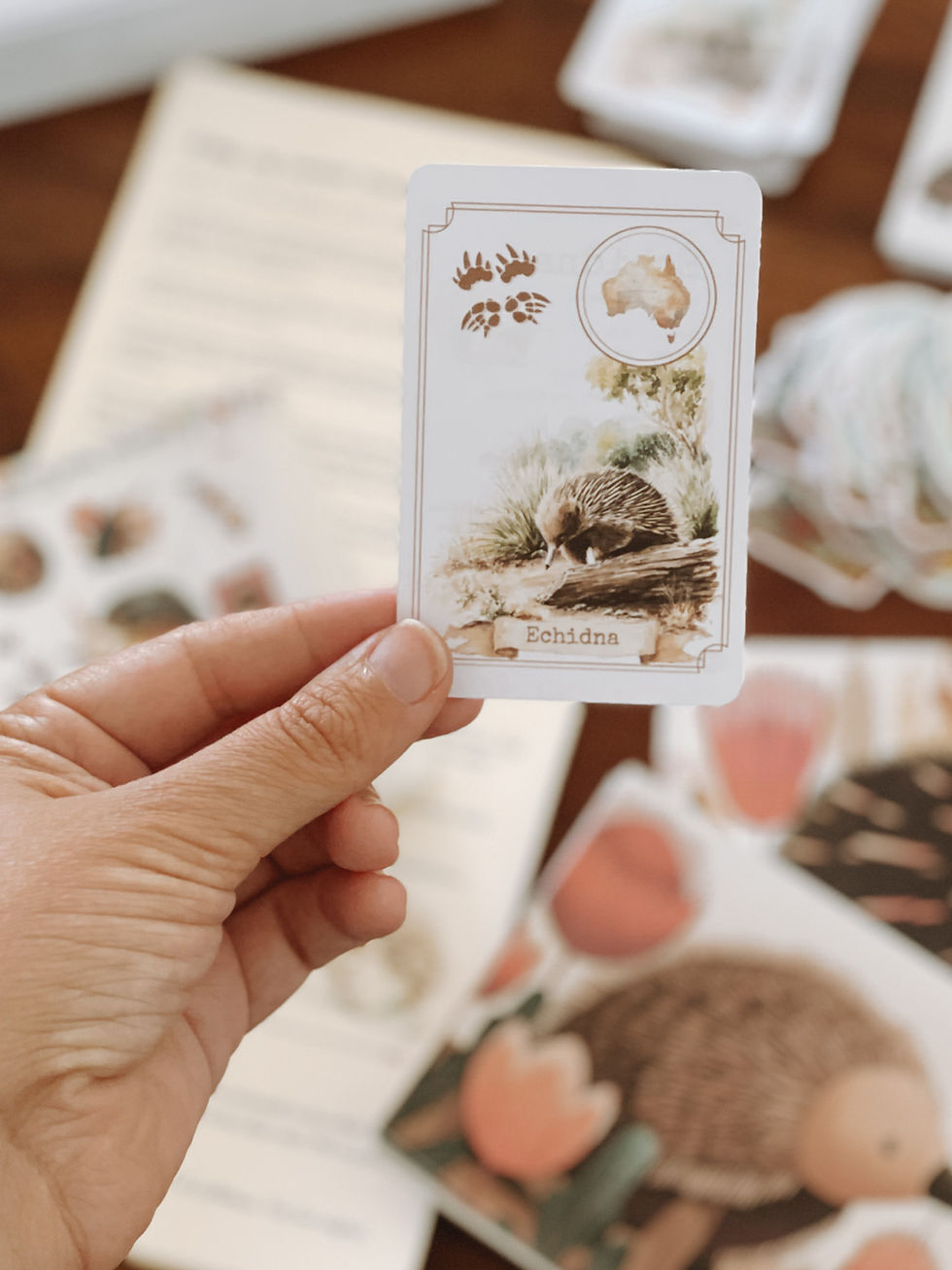 Thumbnail: Past Adventures - February Echidna