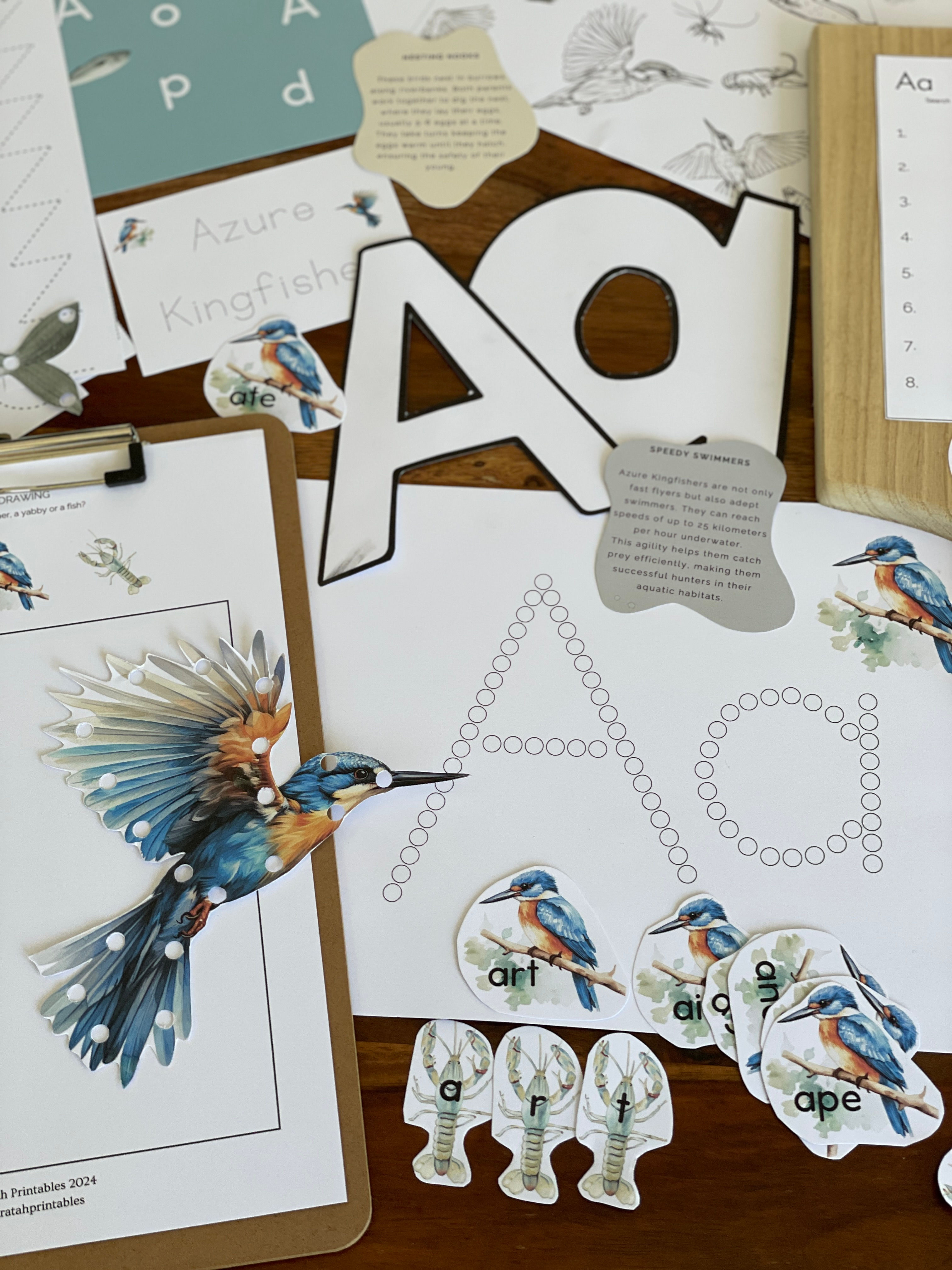 A is for Azure Kingfisher - Letter Basket