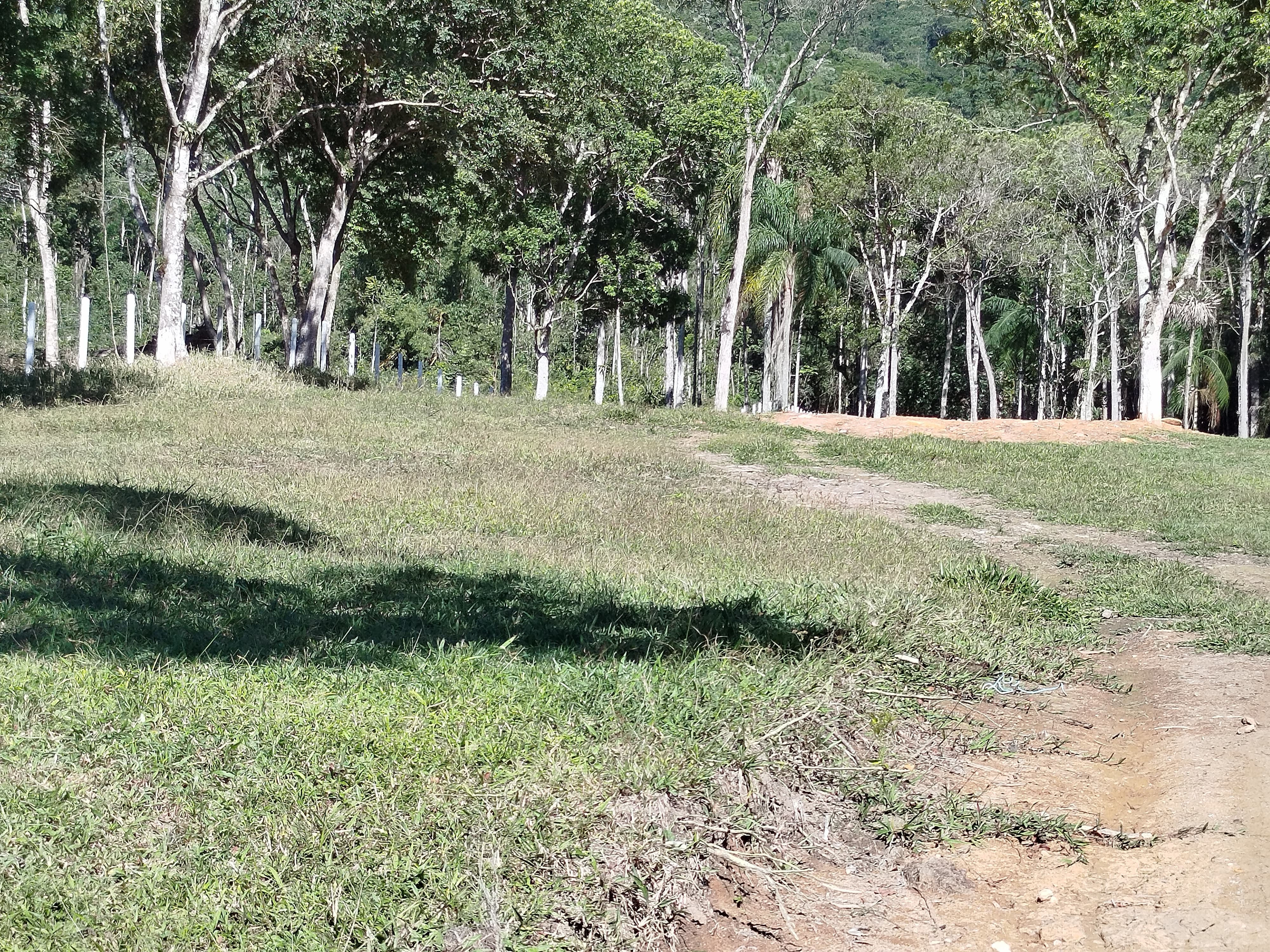 BELO SÍTIO DE 7 HECTARES COM CACHOEIRA, EM S. AMARO DA IMPERATRIZ, STA. CATARINA