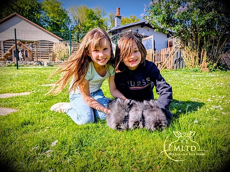 deux petites fille dans un jardin avec 3 lapins