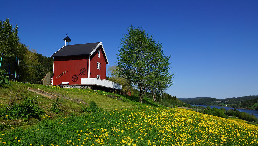 Våren