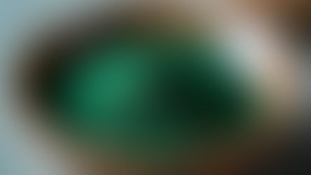 Understanding Algae Colorant Pricing Guide in the US