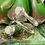 Thumbnail: Moonstone Wraparound Ring