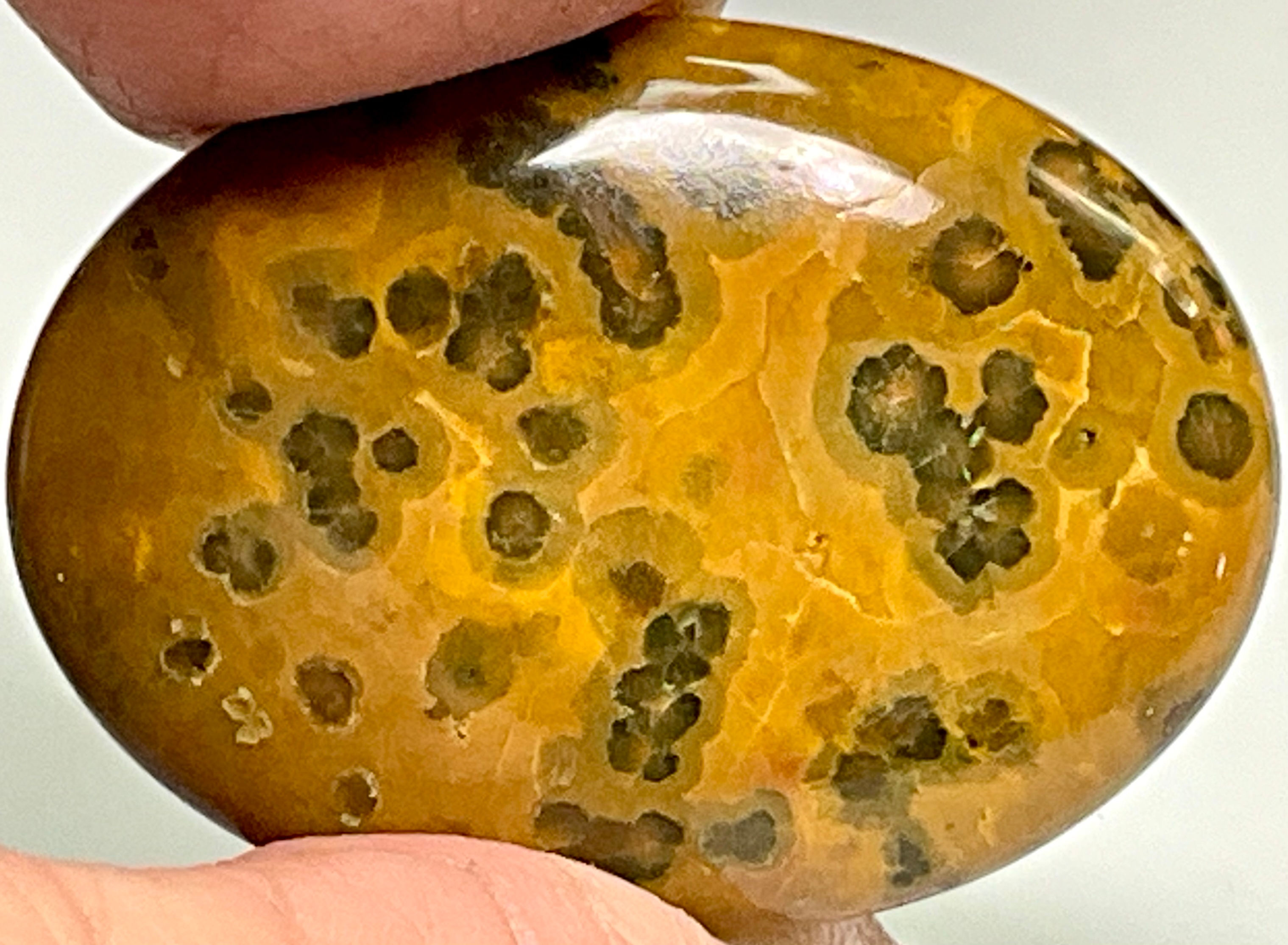 Loose Ocean Jasper #02596