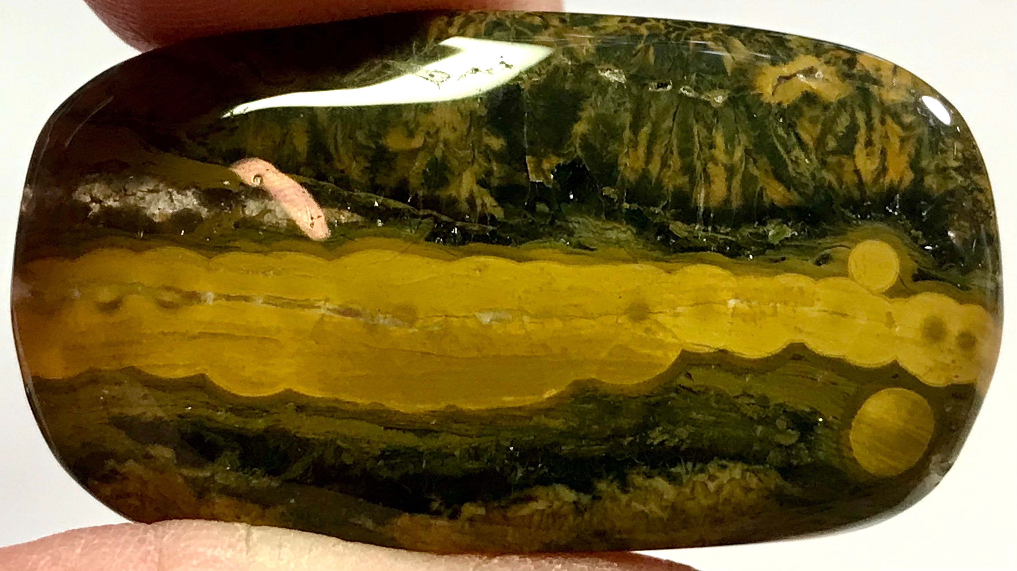 Loose Ocean Jasper #7793