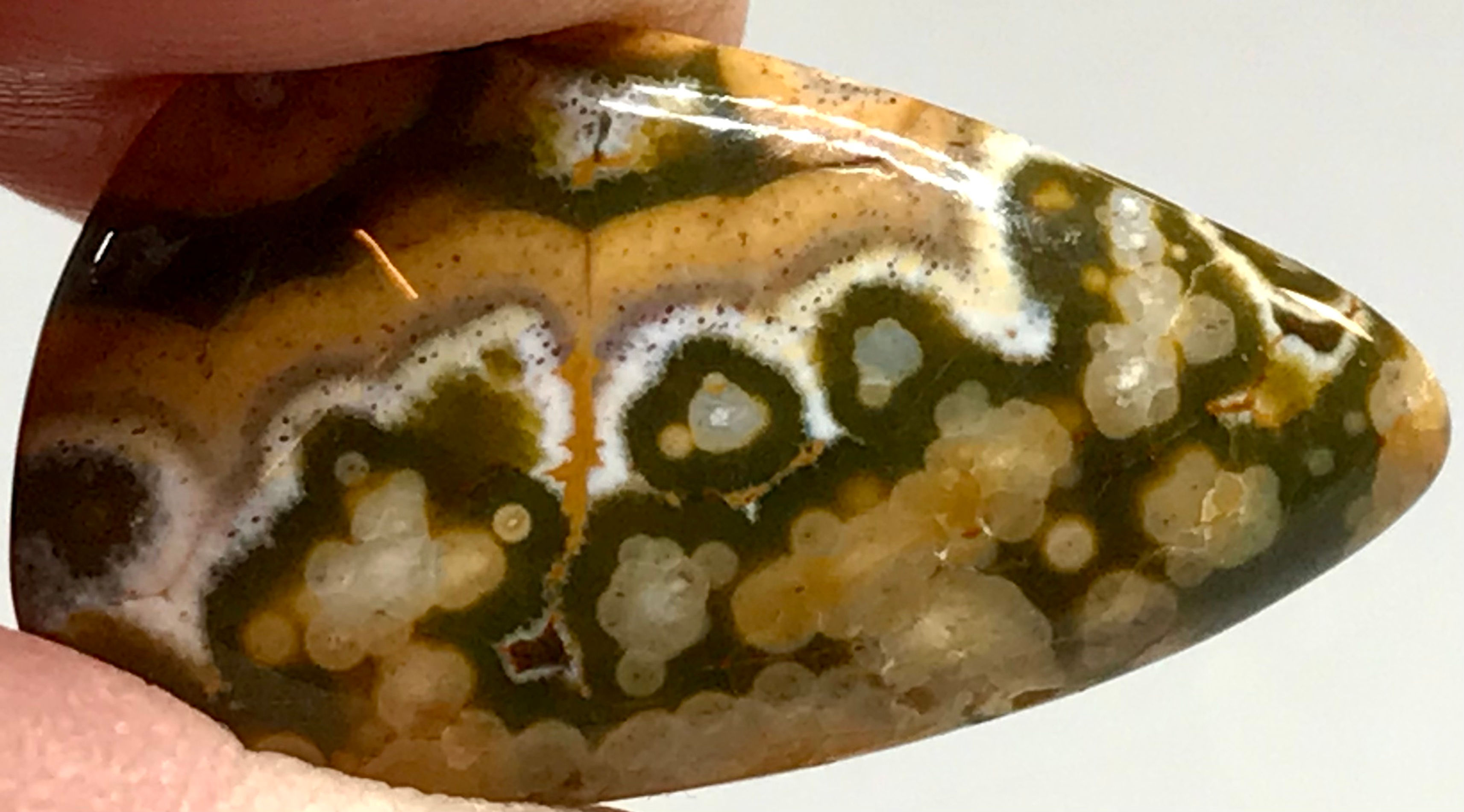 Loose Ocean Jasper #8890