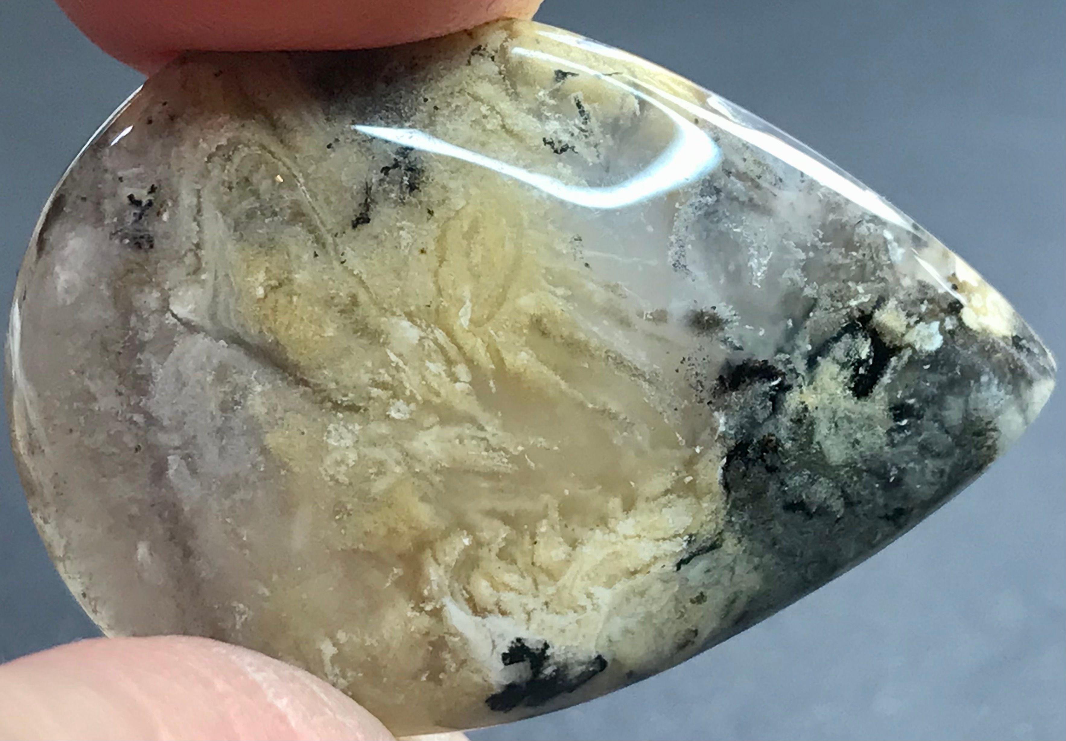 Loose Tiger Dendritic Agate #05777