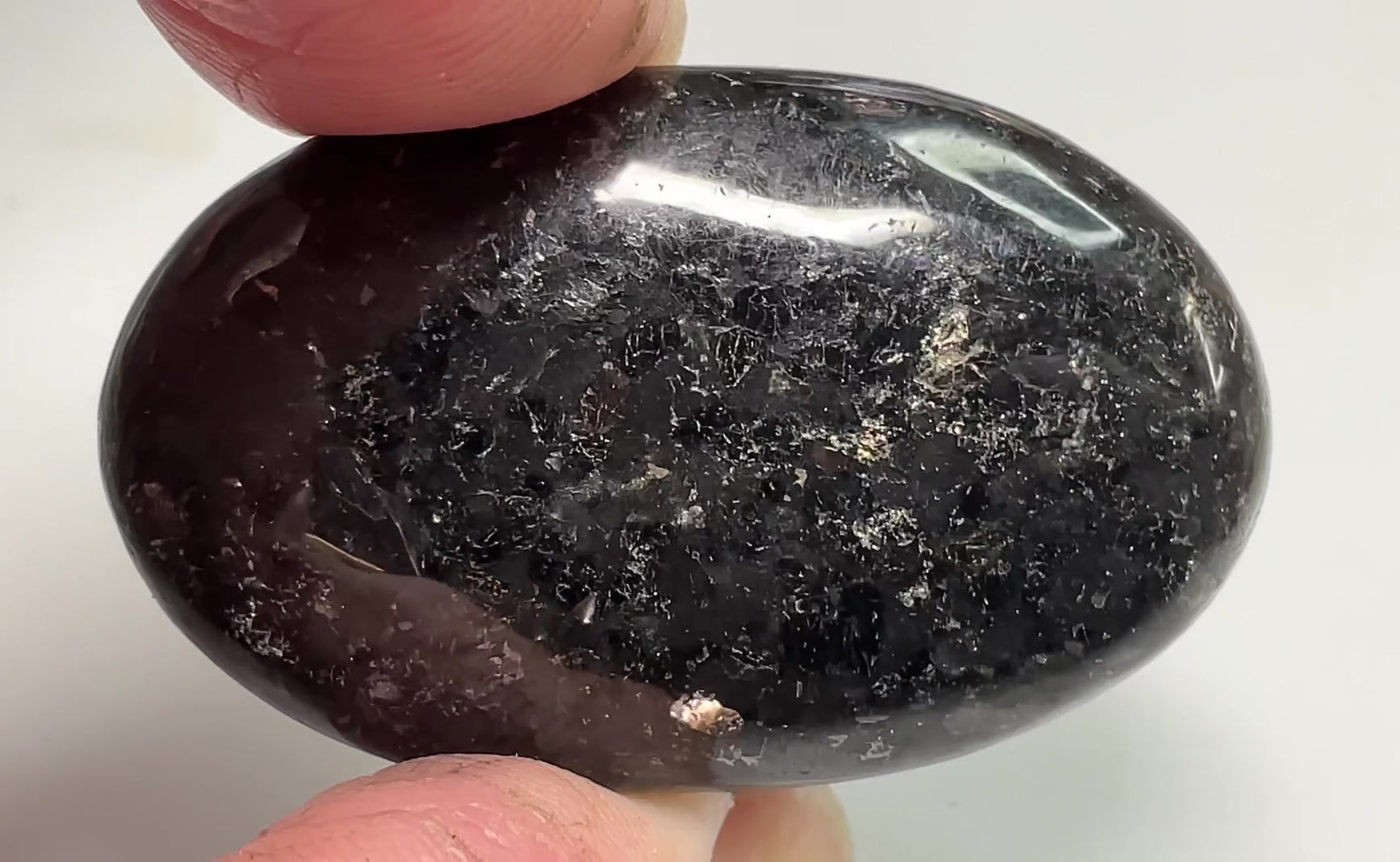 Loose Nuummite #16466