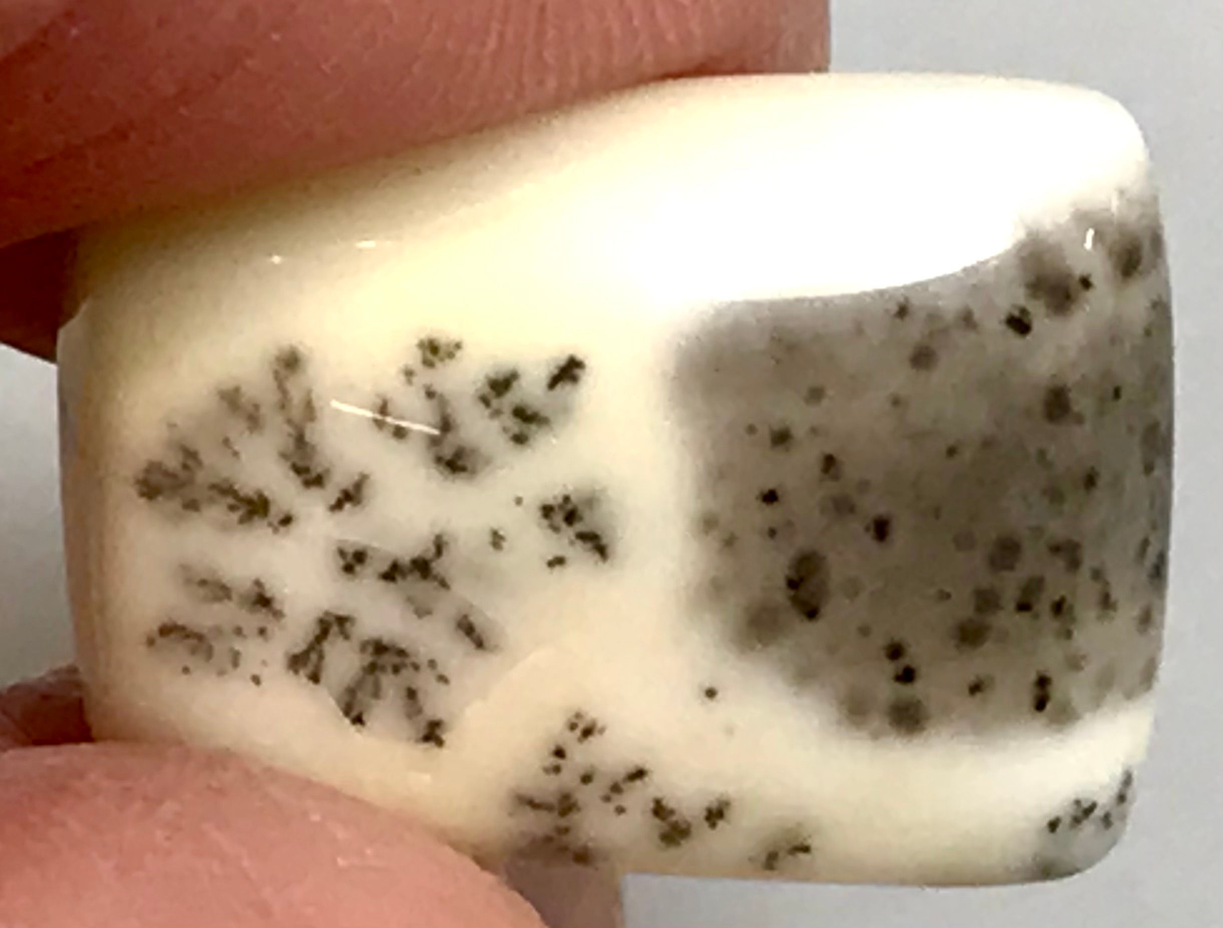 Loose Dendritic Agate #2587