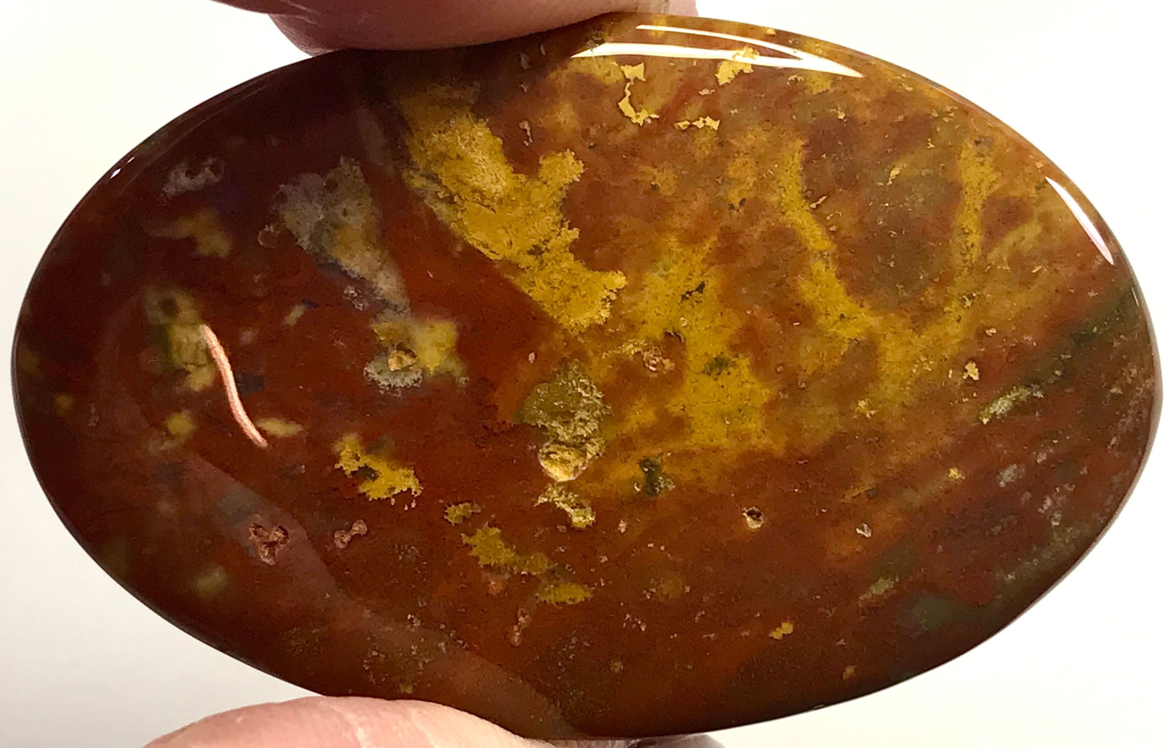 Loose Bloodstone #8105