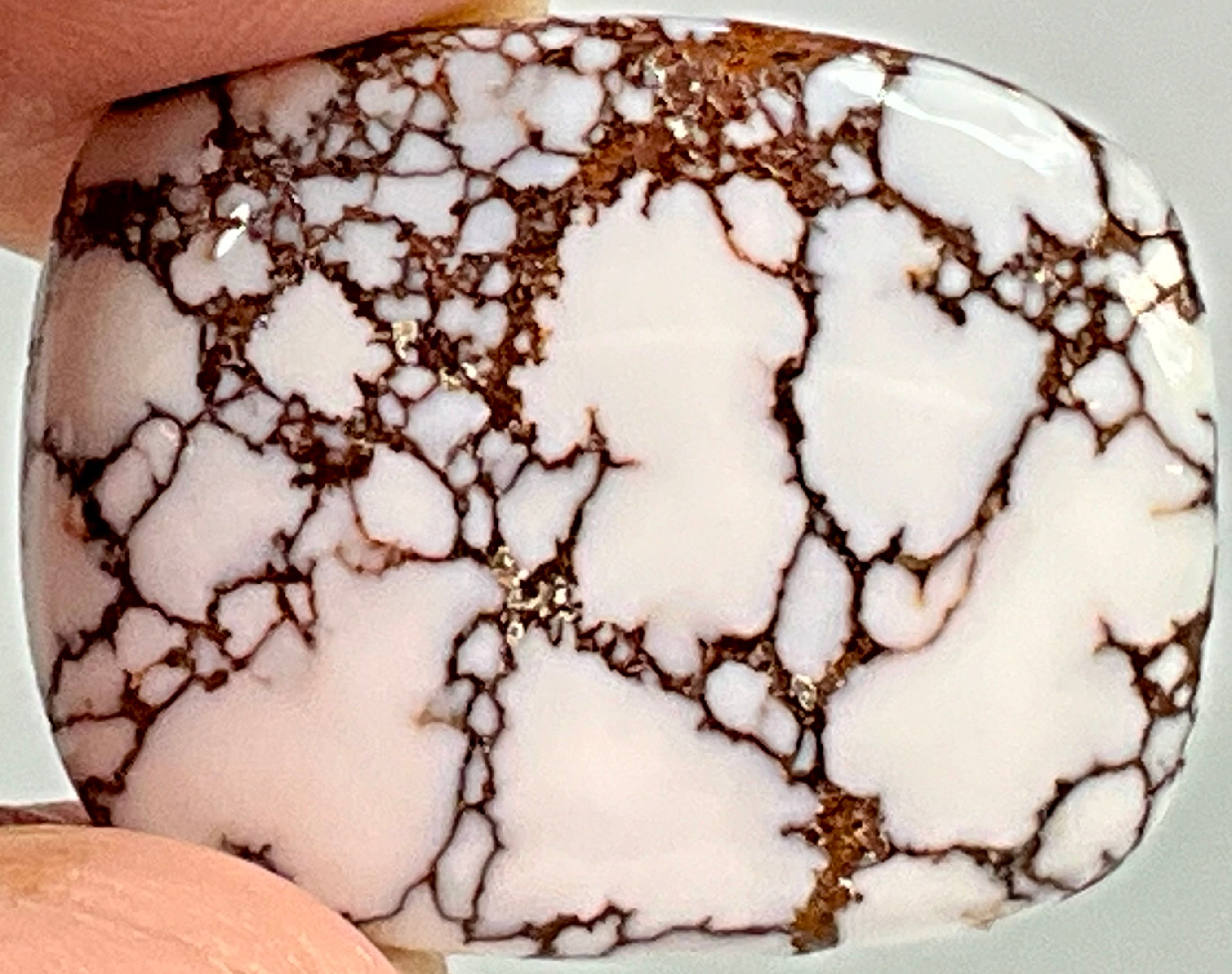 Loose Wild Horse Jasper #13712