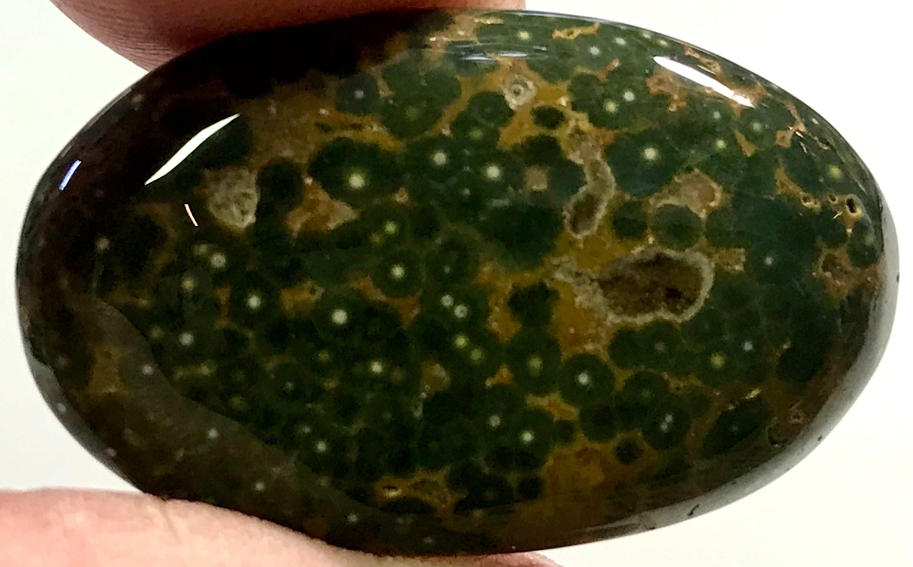 Loose Ocean Jasper #7806