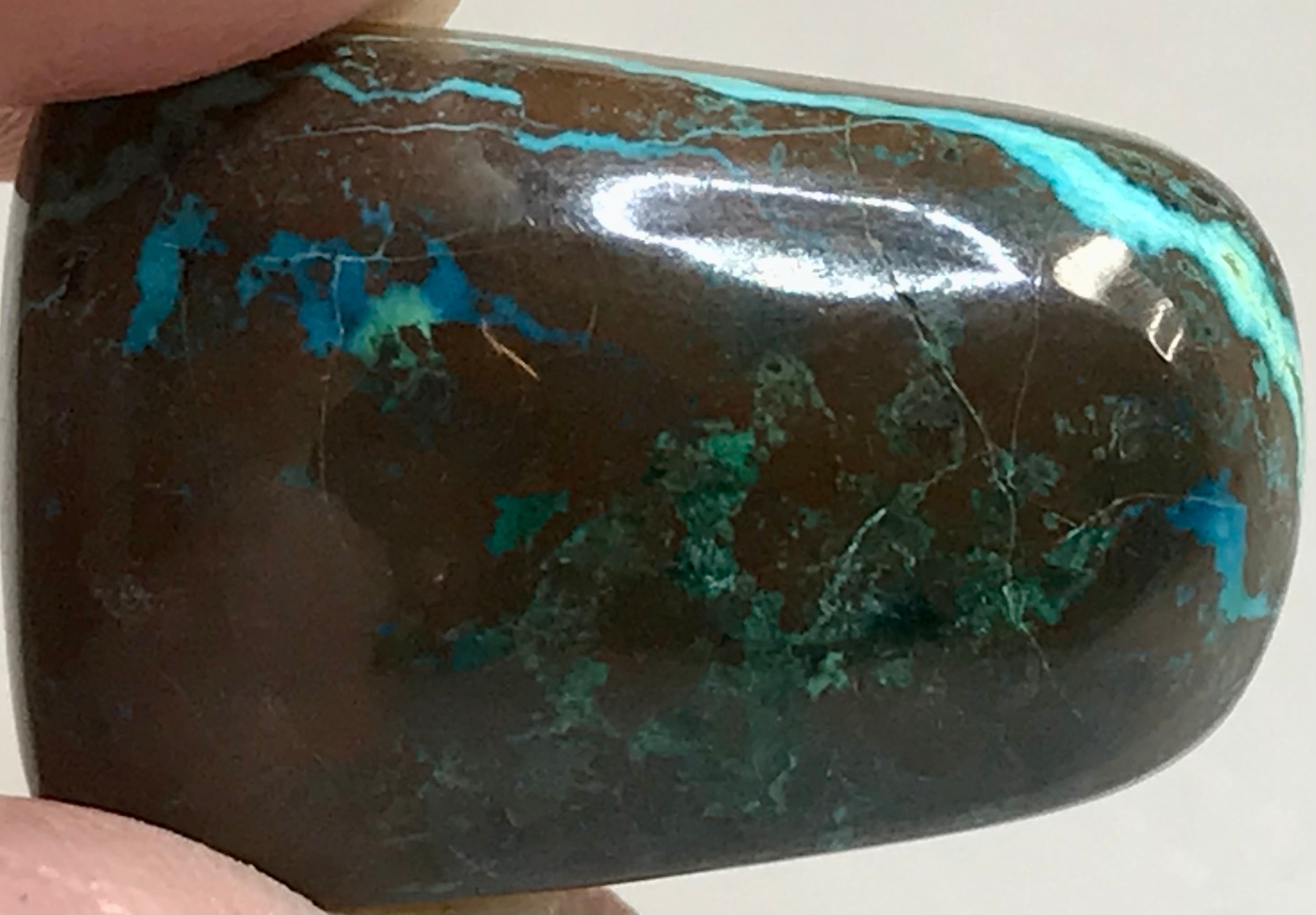 Loose Chrysocolla #01503