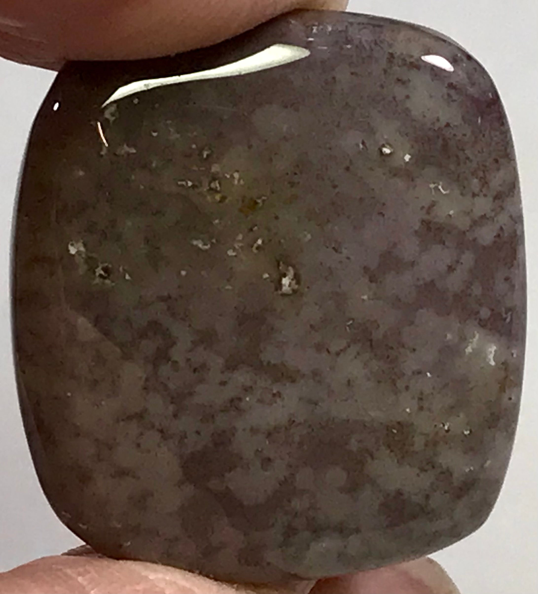 Loose Bloodstone #8086