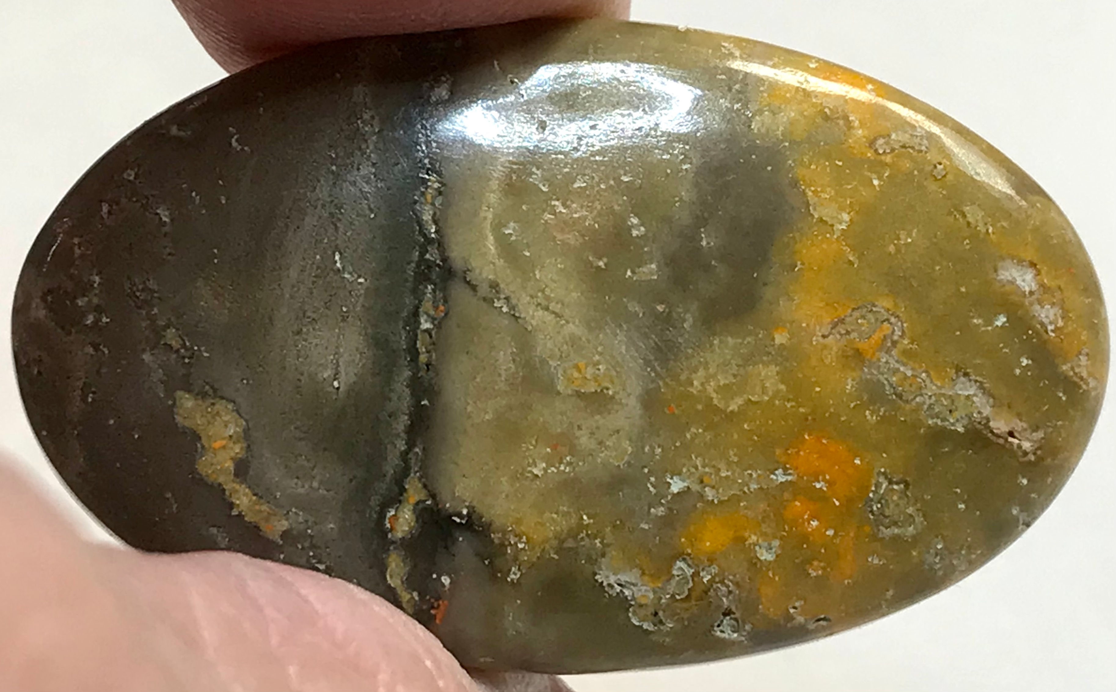 Loose Bumblebee Jasper #01080