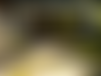 Exploring the Latest Trends in Foundation Repair Technology