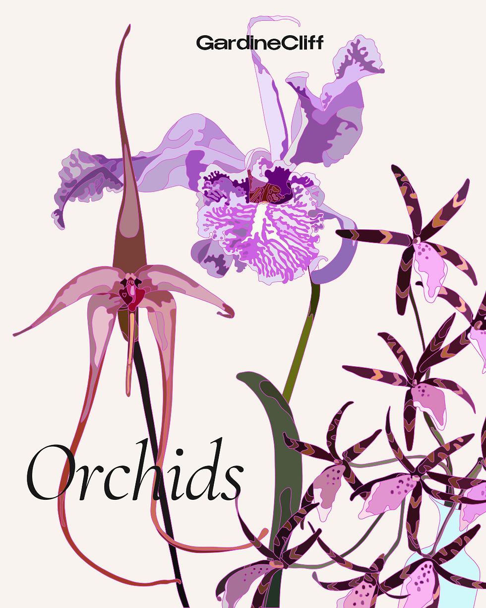 9-Orchids_72dpi.jpg