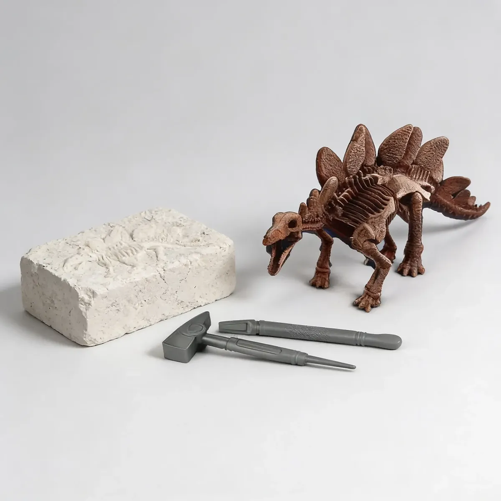Miniatura: Juego De Ciencia Kit Excavación Stegosaurus Realidad Niños