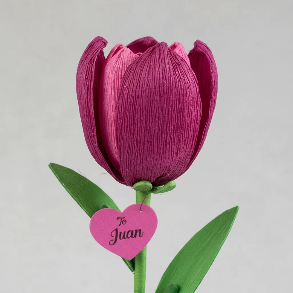 Miniatura: Juego Científico Creativo Flores Tulipanes Para Niños Niñas