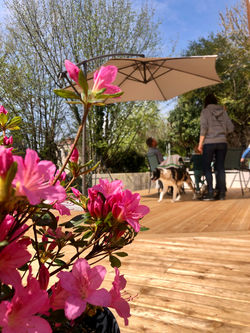 Le Chaleureux : la terrasse