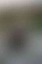 Wedding at Villa Pazzi, Tuscany