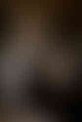 Hawkstone Hall wedding photographer