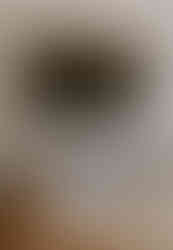 Hawkstone Hall wedding - Elegant weddings