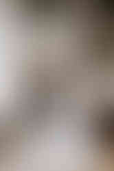 Hawkstone Hall wedding