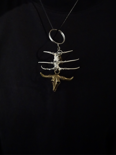 trang sức tiêu bản xương rắn/ snake bone jewelry