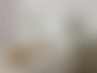 Young plants sprout from small mounds of soil on a light background. A single red flower stands alone, creating a serene, minimal scene.