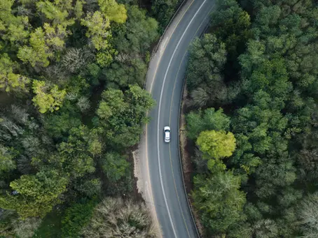 Aerial view of a white car driving on a winding road through lush green forest. The scene is tranquil with dense trees and curving pavement.