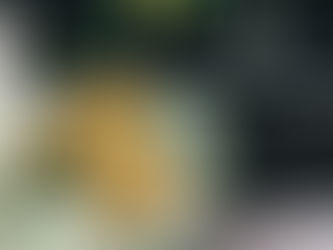 A close-up, high-angle shot of gold Bitcoin physical coins resting on Euro banknotes atop a laptop keyboard. In the blurred background, a computer screen displays a colorful cryptocurrency candlestick trading chart, symbolizing the intersection of digital assets and traditional finance.