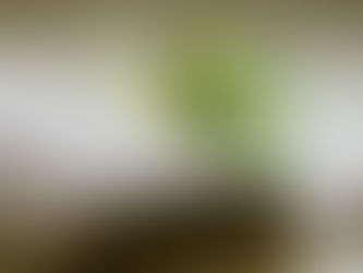 A 100 Euro banknote tucked into an open book as a bookmark, emphasizing the intersection of financial literacy, business education, and money management.