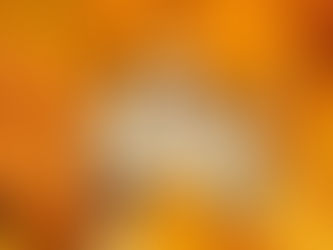 How to Manage Cash Flow in a Seasonal Business